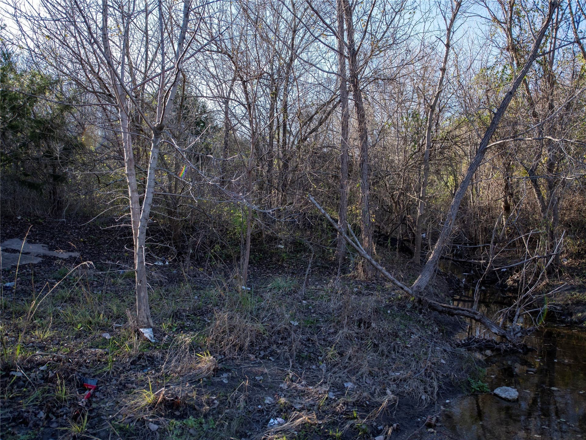 5.74 acres in Dallas County featured view