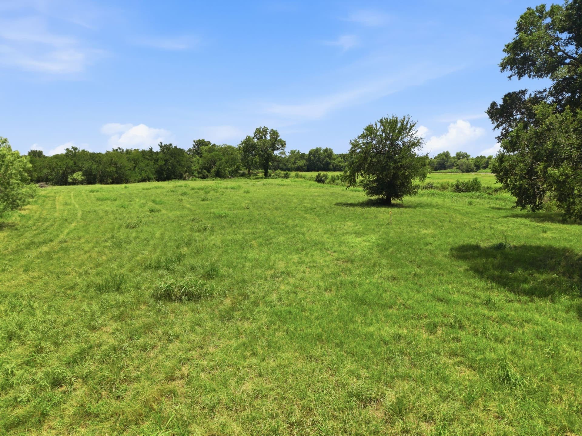 25.38 acres in Eastland County - photo 11