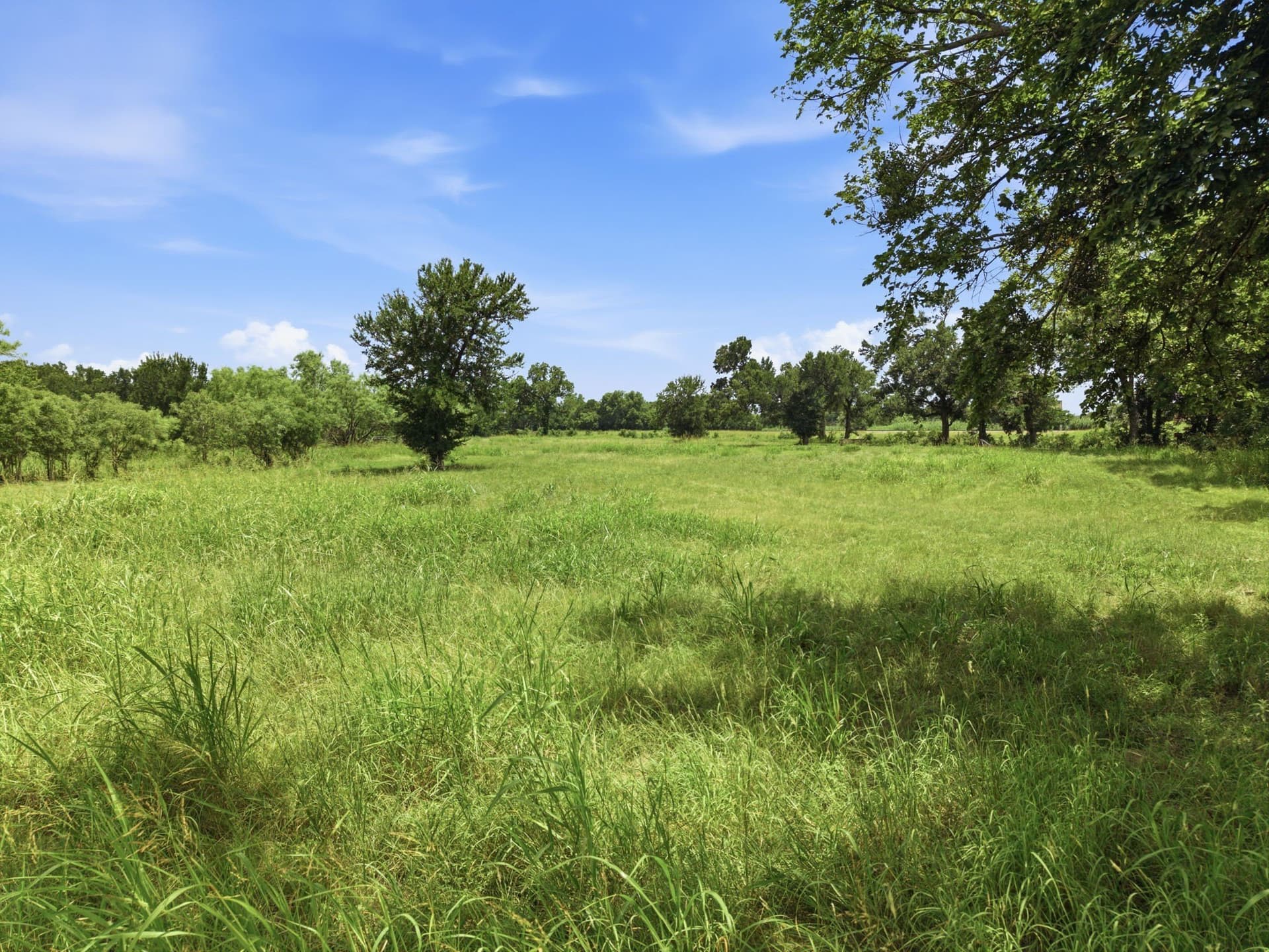 25.38 acres in Eastland County - photo 9