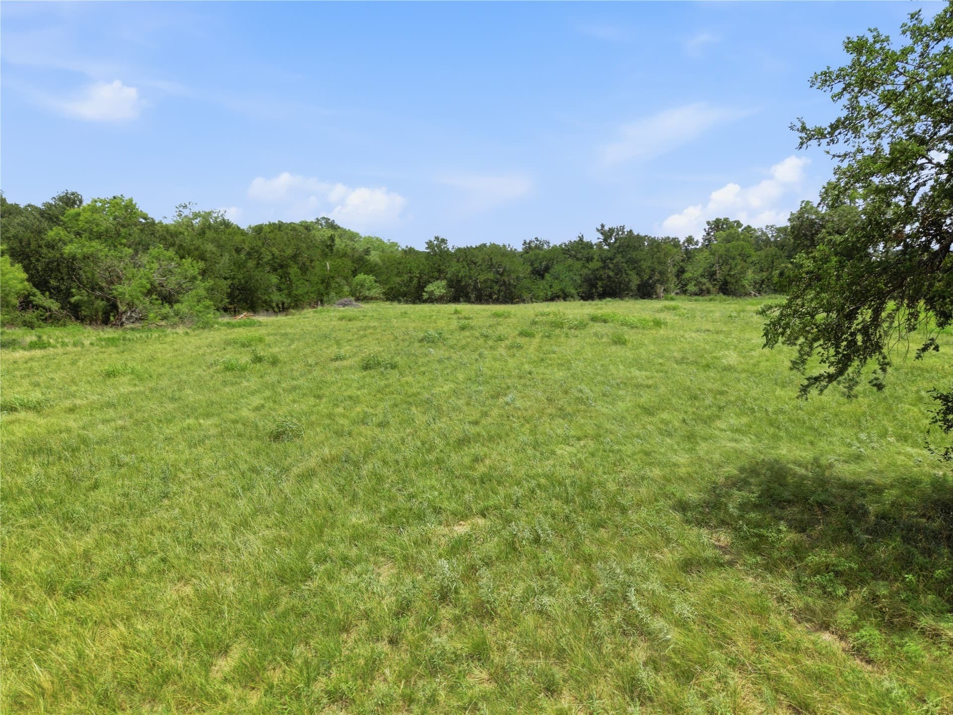 25.38 acres in Eastland County - photo 6