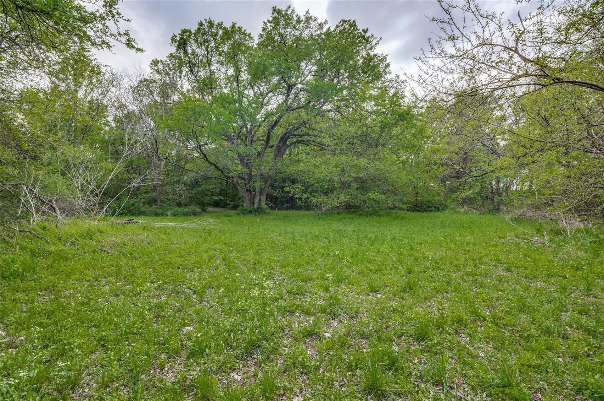 2.01 acres in Dallas County - photo 8