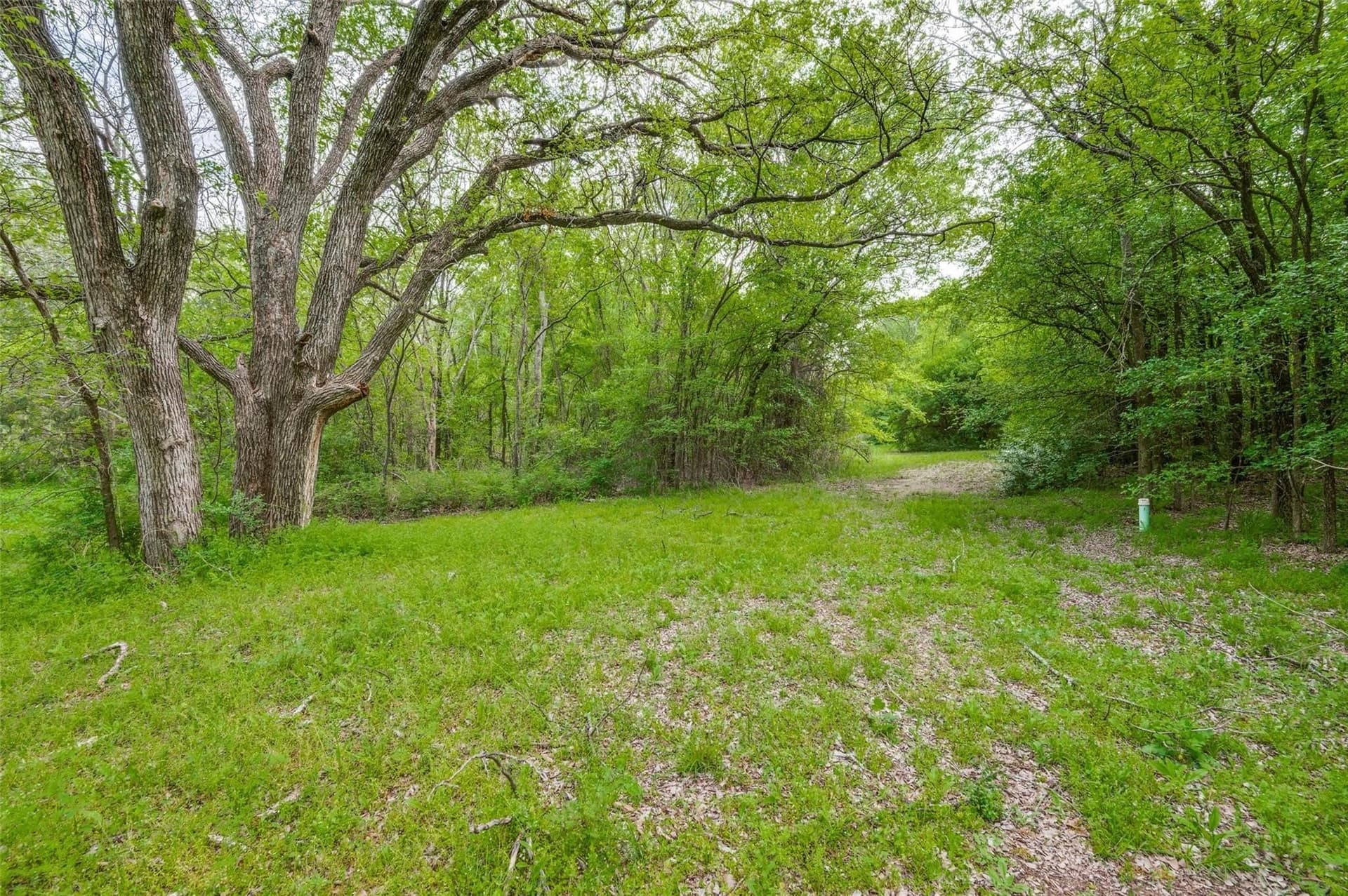 2.01 acres in Dallas County - photo 9