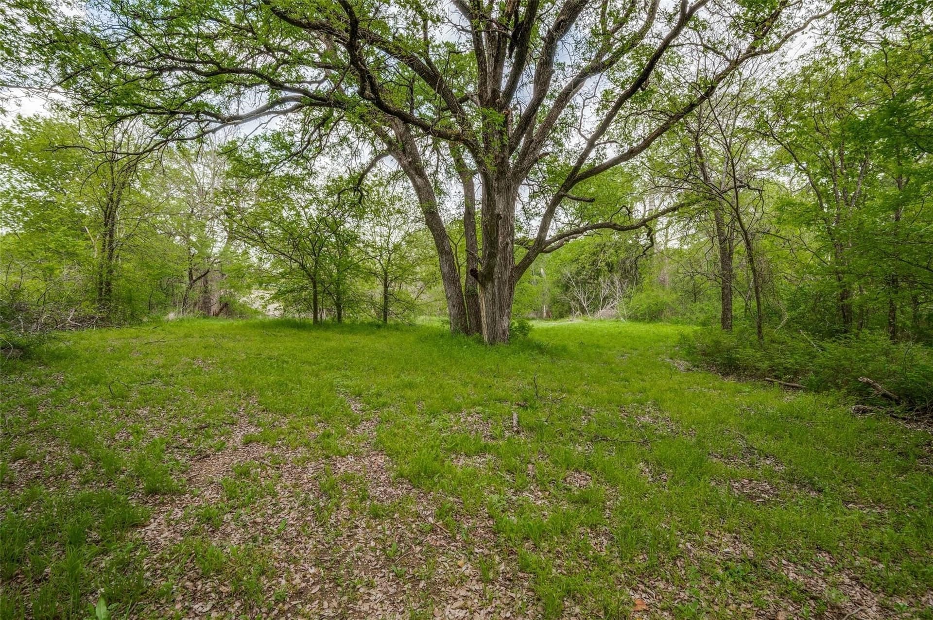 2.01 acres in Dallas County - photo 10