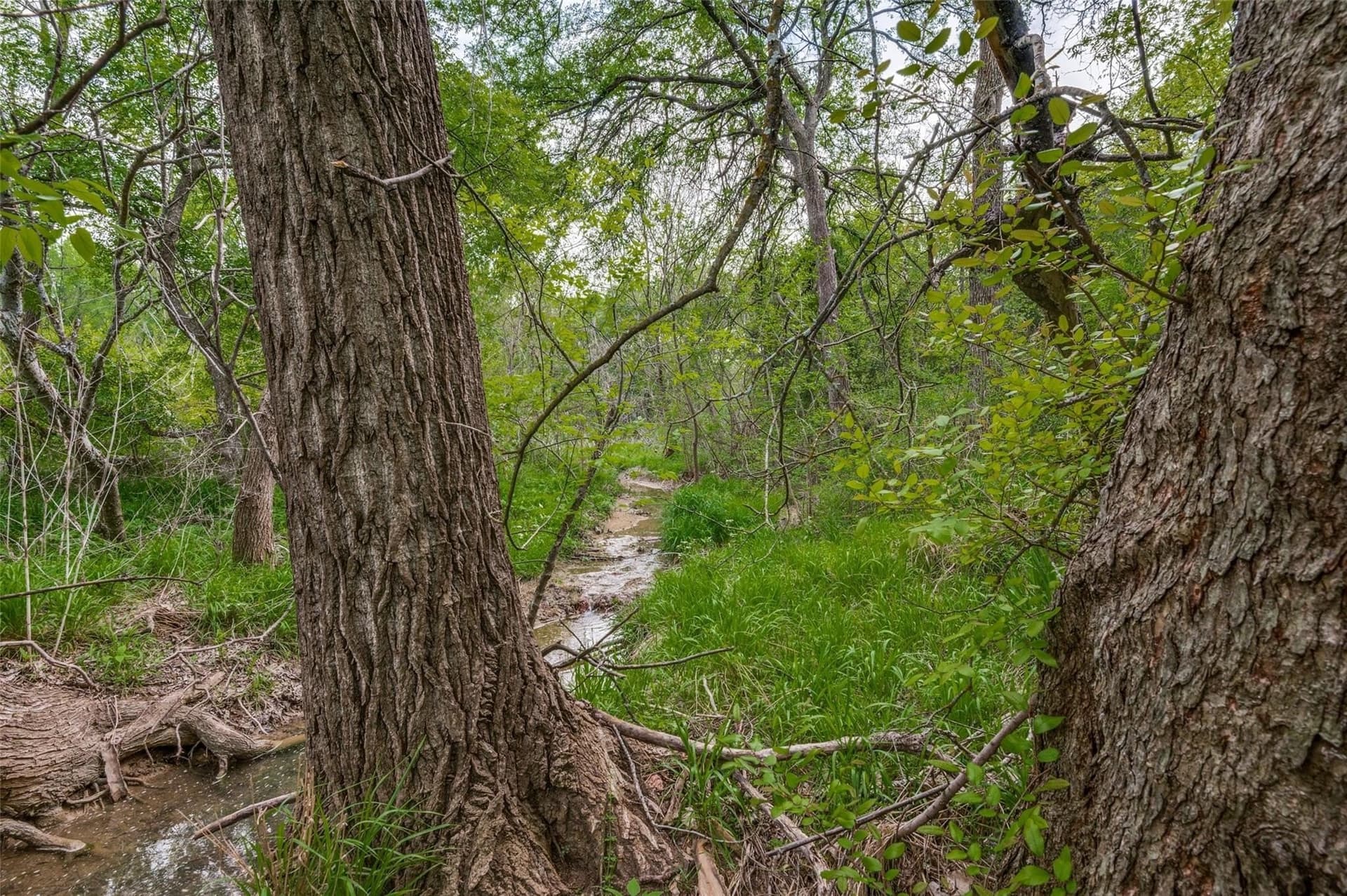 2.01 acres in Dallas County - photo 7
