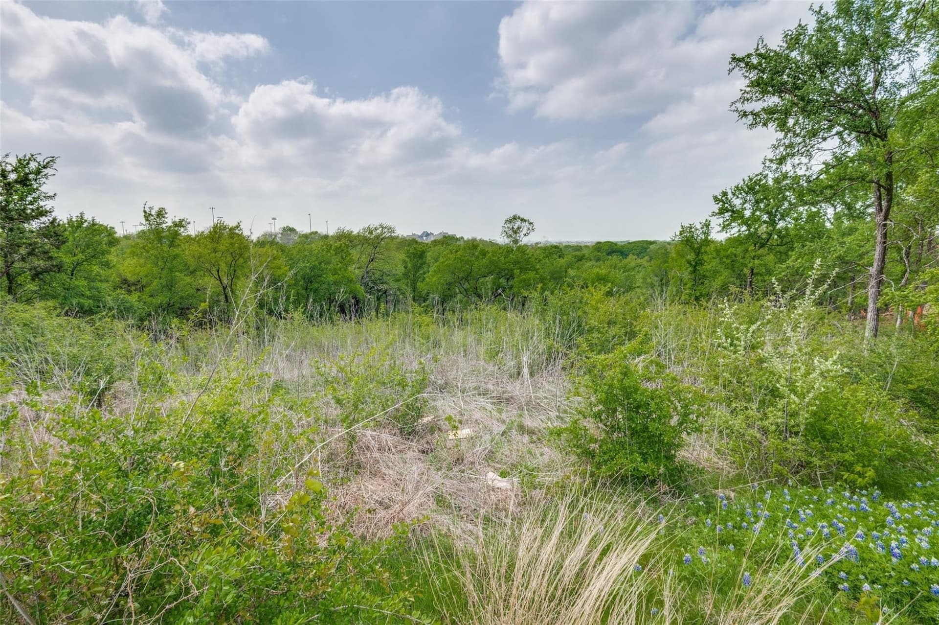 2.01 acres in Dallas County - photo 6