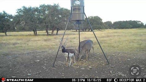 12 acres in Kimble County - photo 10