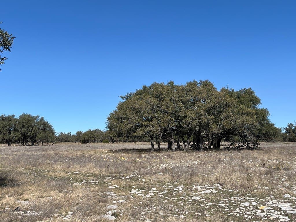 12 acres in Kimble County gallery image 2