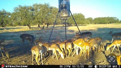 12 acres in Kimble County - photo 8