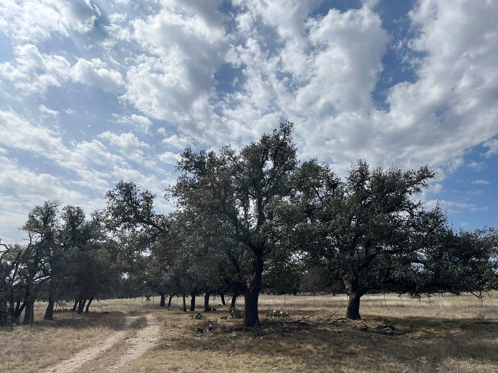 12 acres in Kimble County featured view