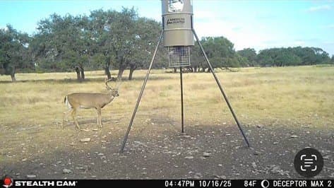 12 acres in Kimble County - photo 9