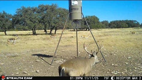 12 acres in Kimble County - photo 11
