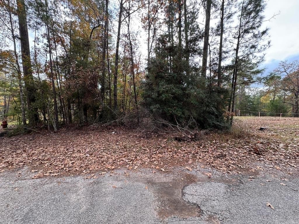0.45 acres in Texas County featured view