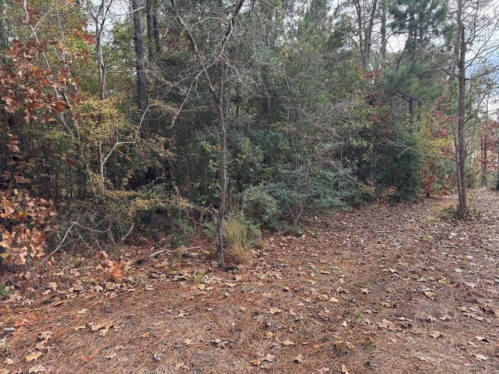0.45 acres in Texas County gallery image 2