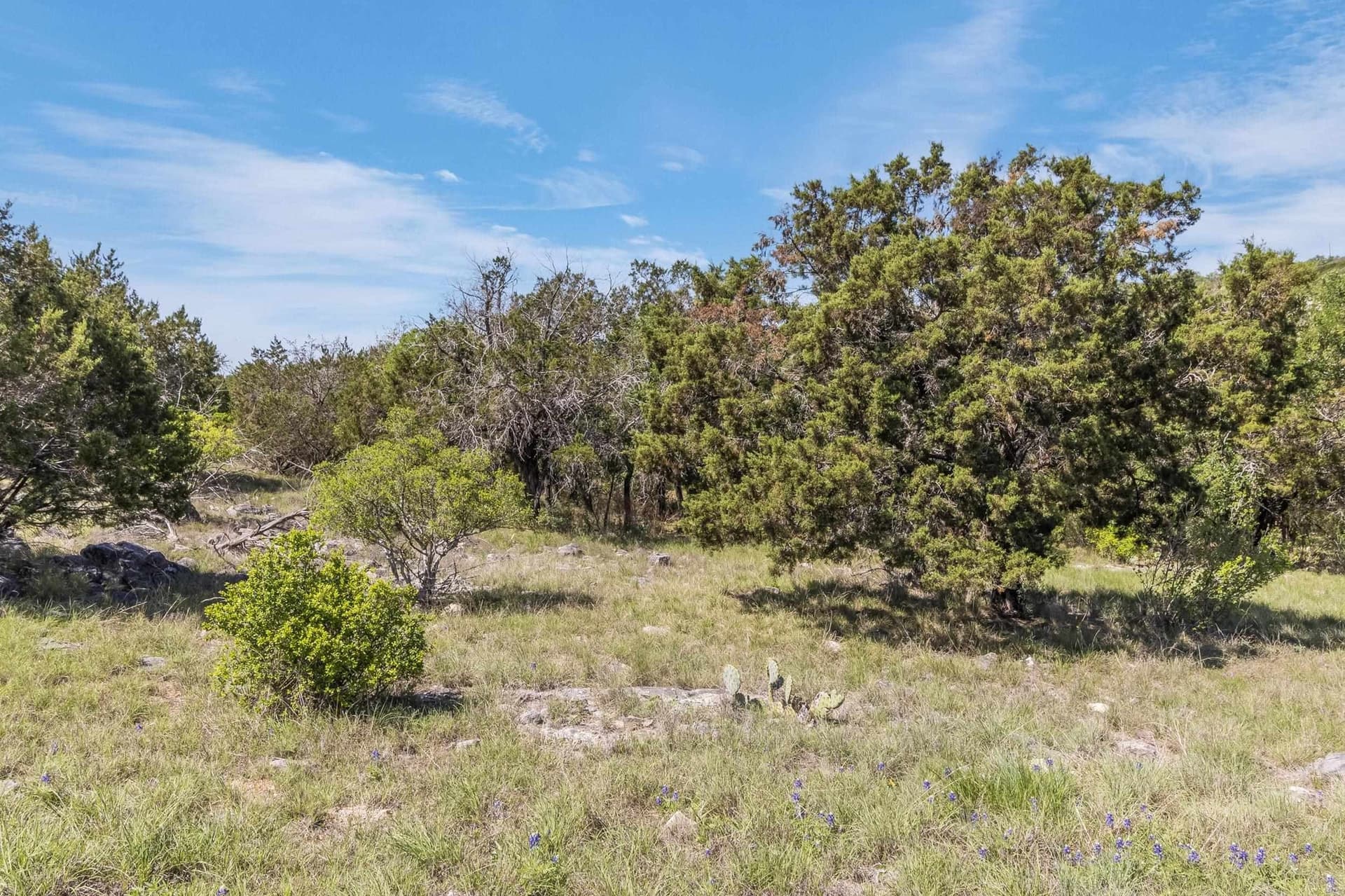 0.21 acres in Llano County - photo 14