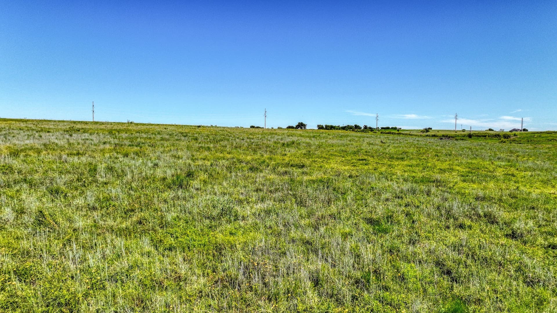 187.66 acres in Johnson County - photo 18