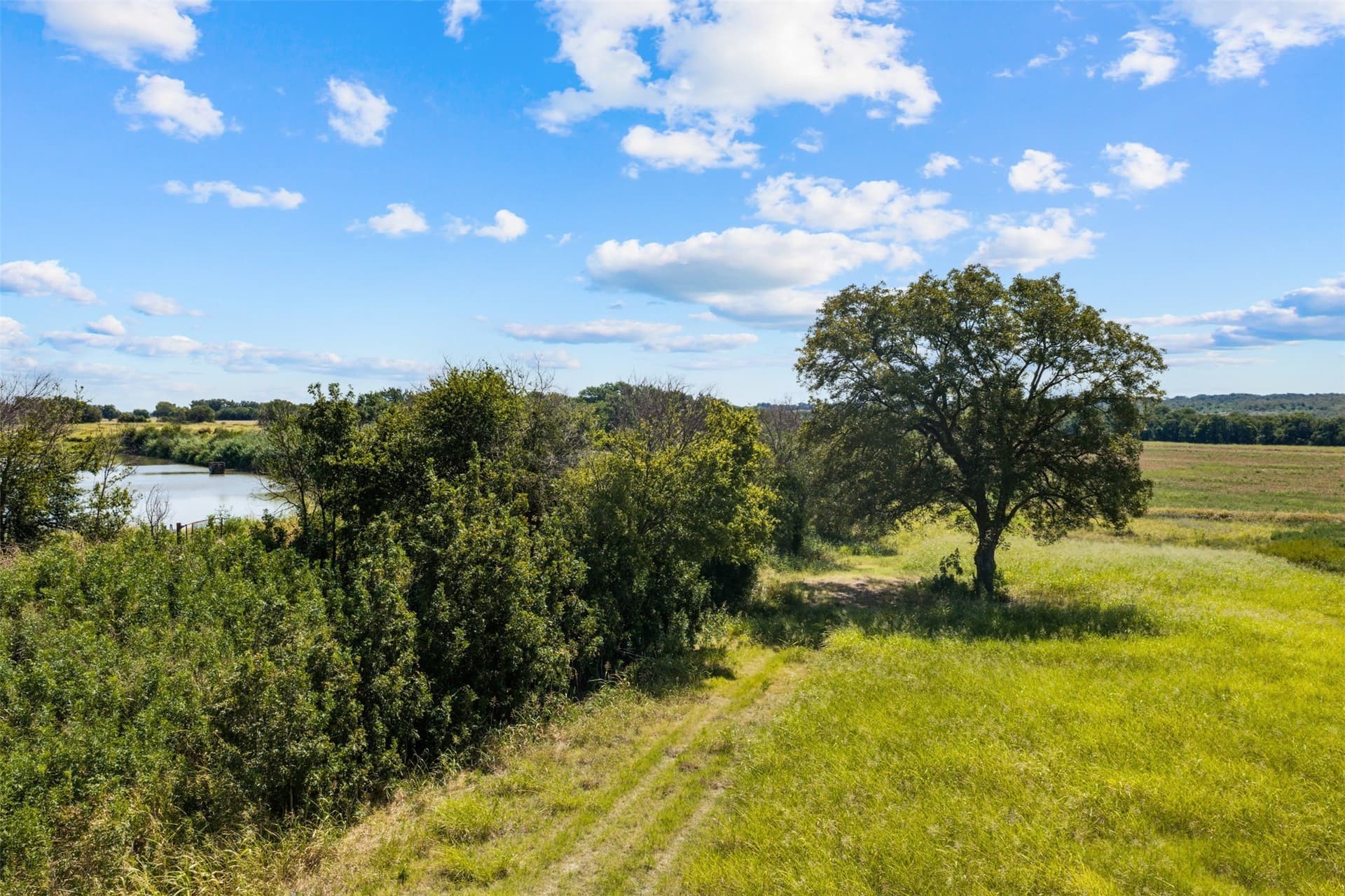 60.02 acres in Falls County - photo 12