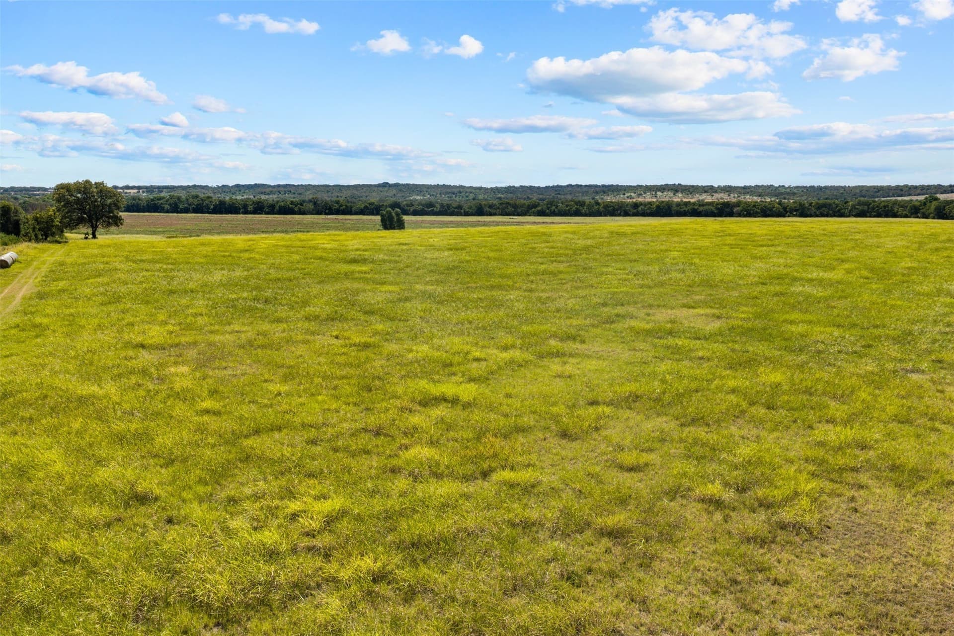 60.02 acres in Falls County - photo 13