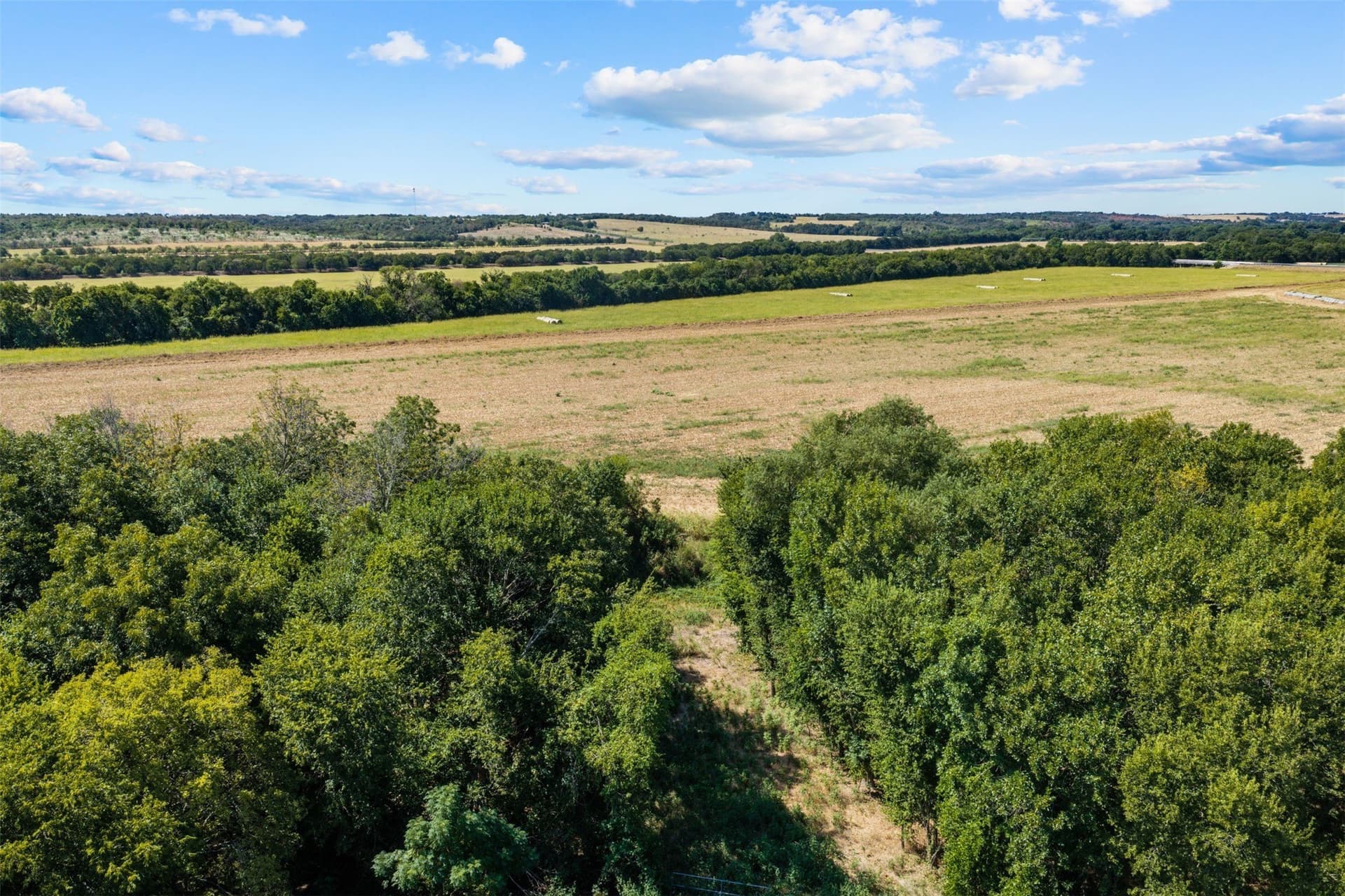 60.02 acres in Falls County - photo 24
