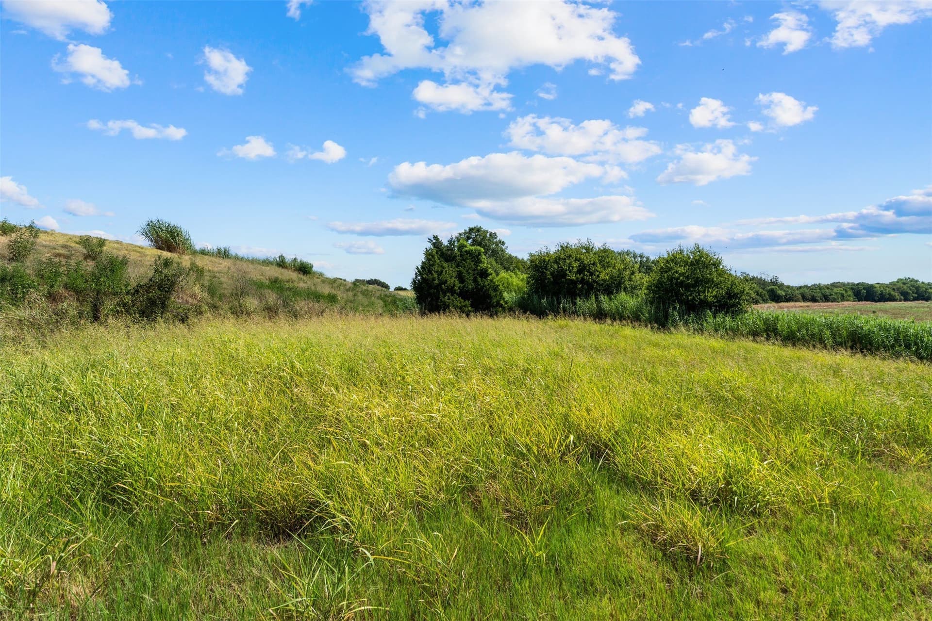 60.02 acres in Falls County - photo 11