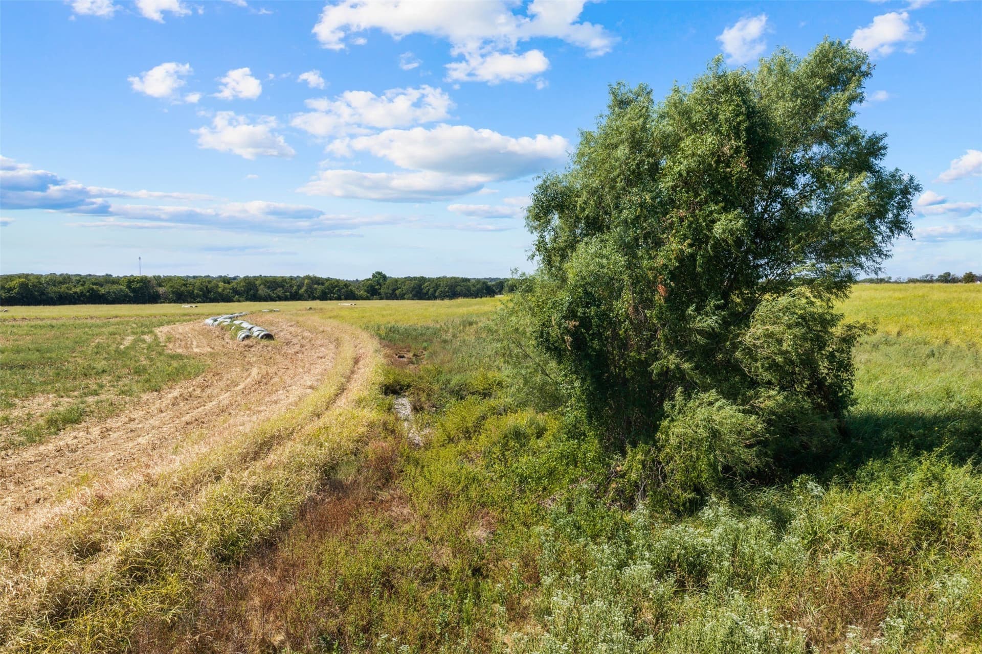 60.02 acres in Falls County - photo 17