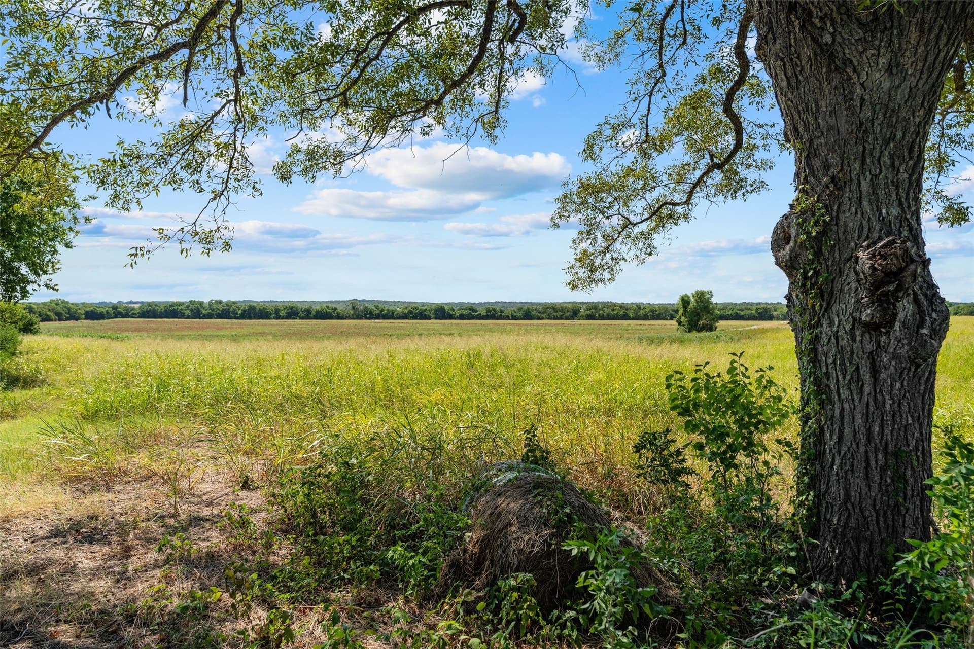 60.02 acres in Falls County - photo 6