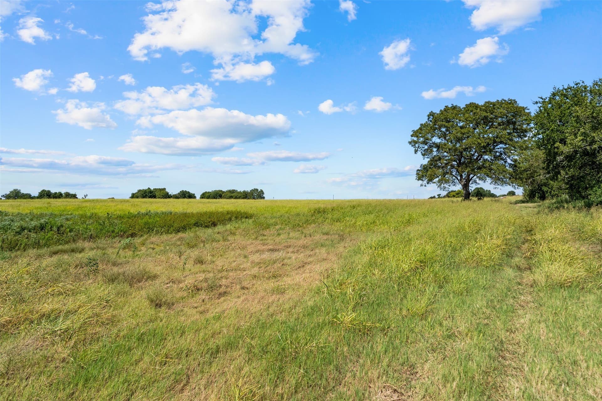 60.02 acres in Falls County - photo 3