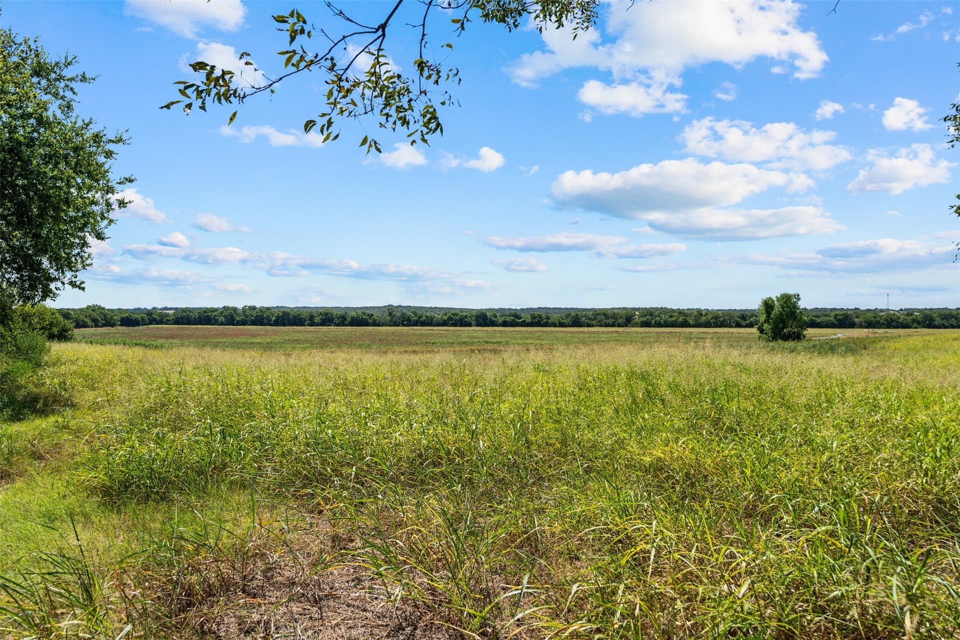 60.02 acres in Falls County - photo 10