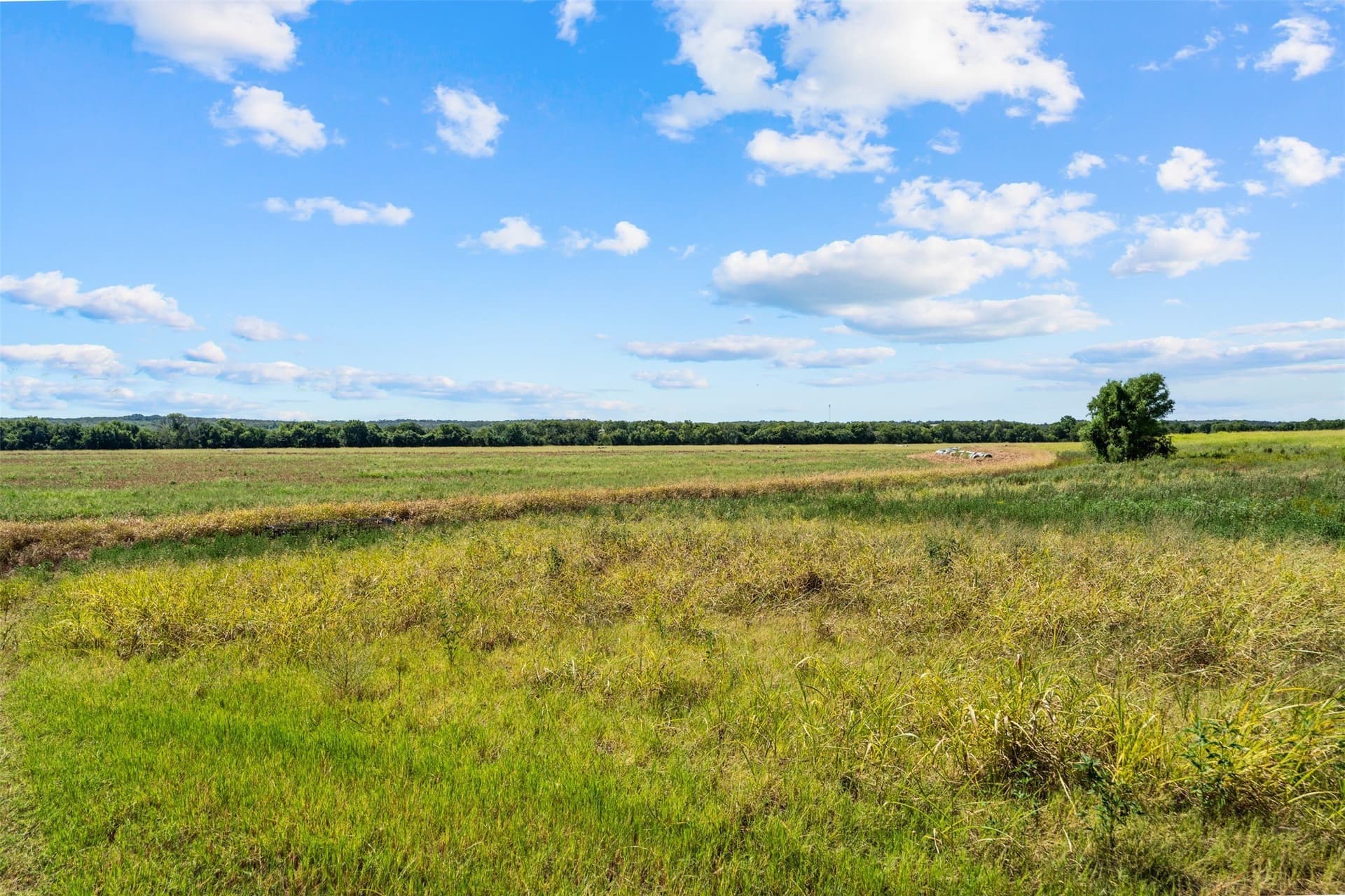 60.02 acres in Falls County - photo 8