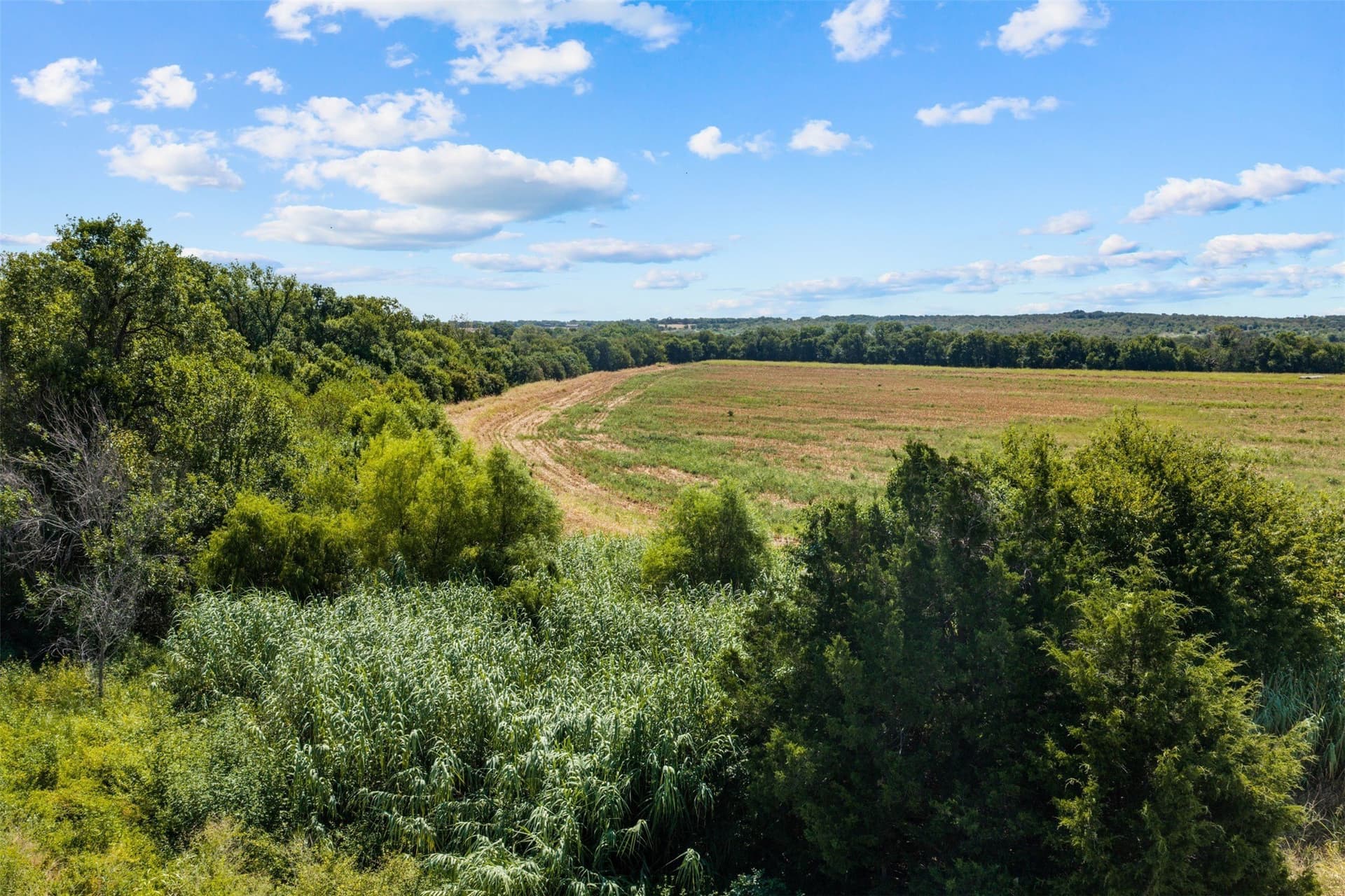 60.02 acres in Falls County - photo 21