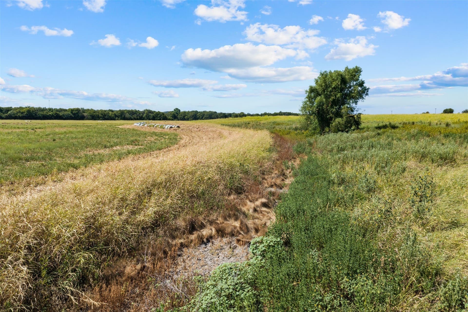 60.02 acres in Falls County - photo 19