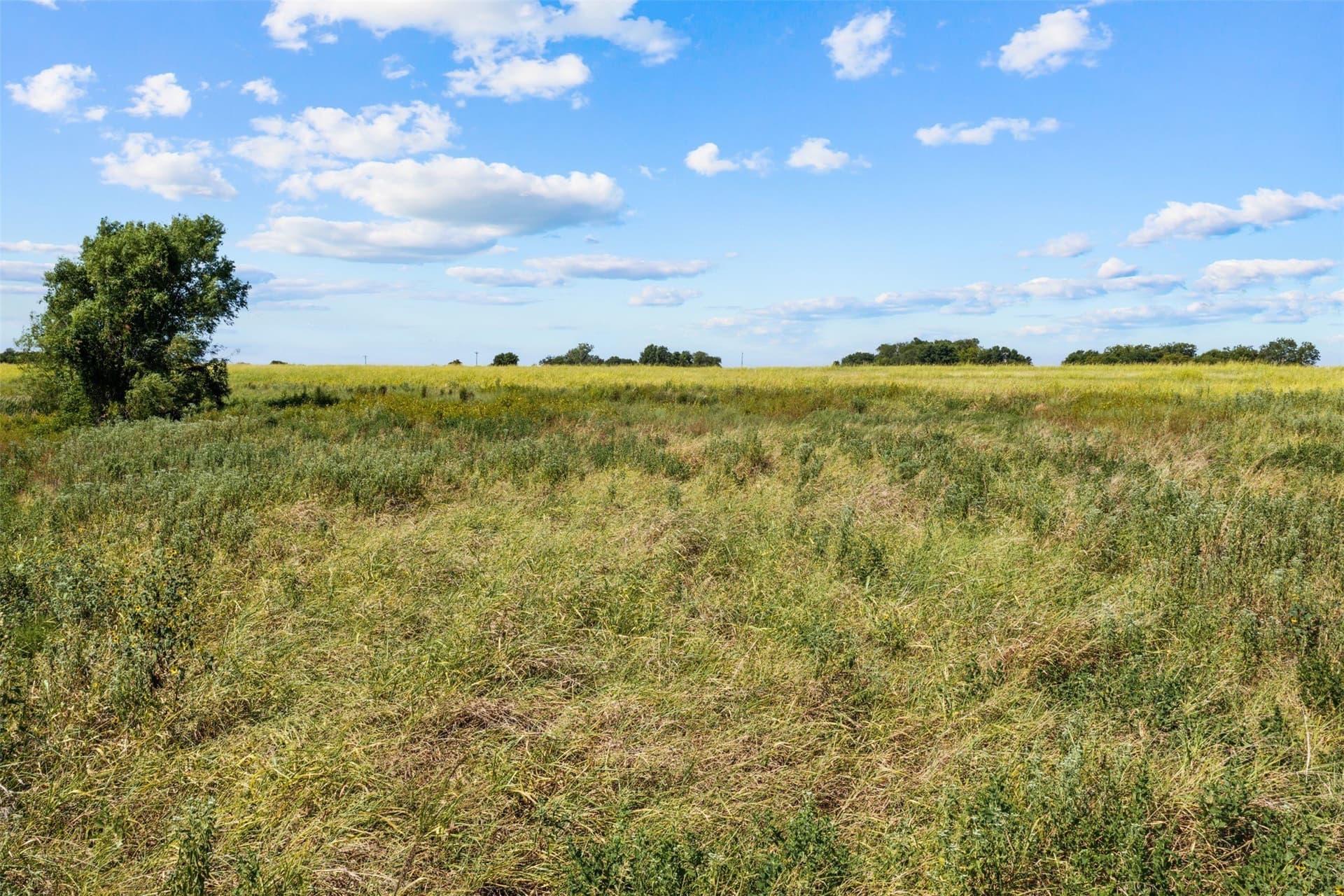 60.02 acres in Falls County - photo 18