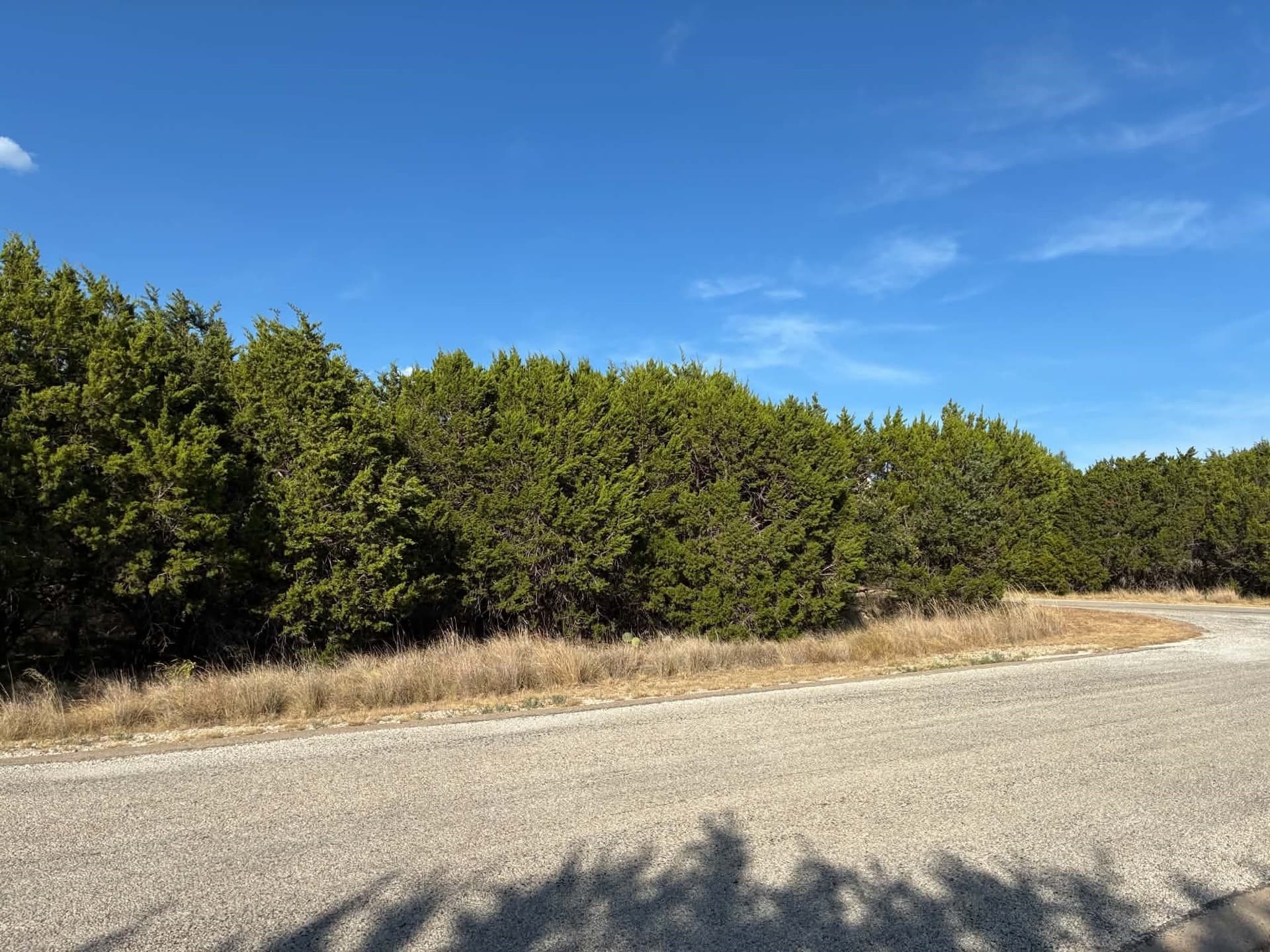 0.12 acres in Palo Pinto County - photo 6