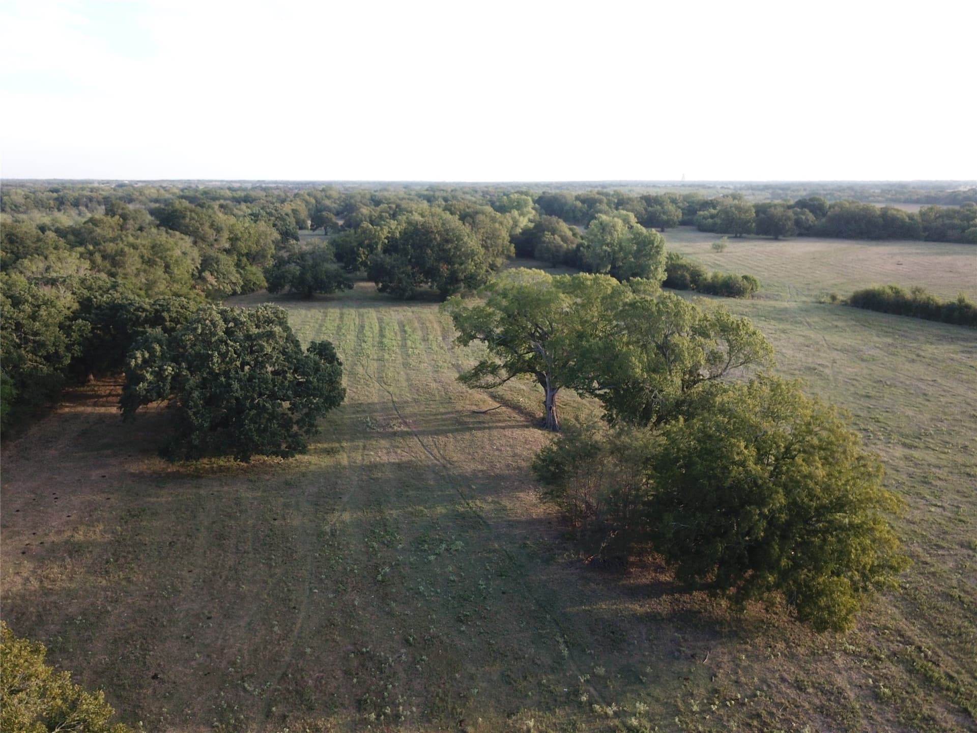 1,003.31 acres in Limestone County - photo 18