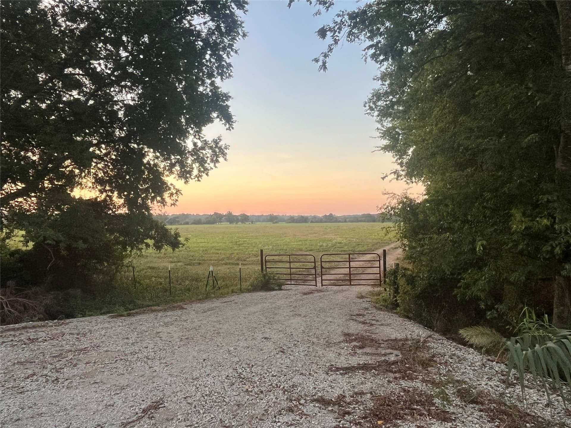 1,003.31 acres in Limestone County - photo 3
