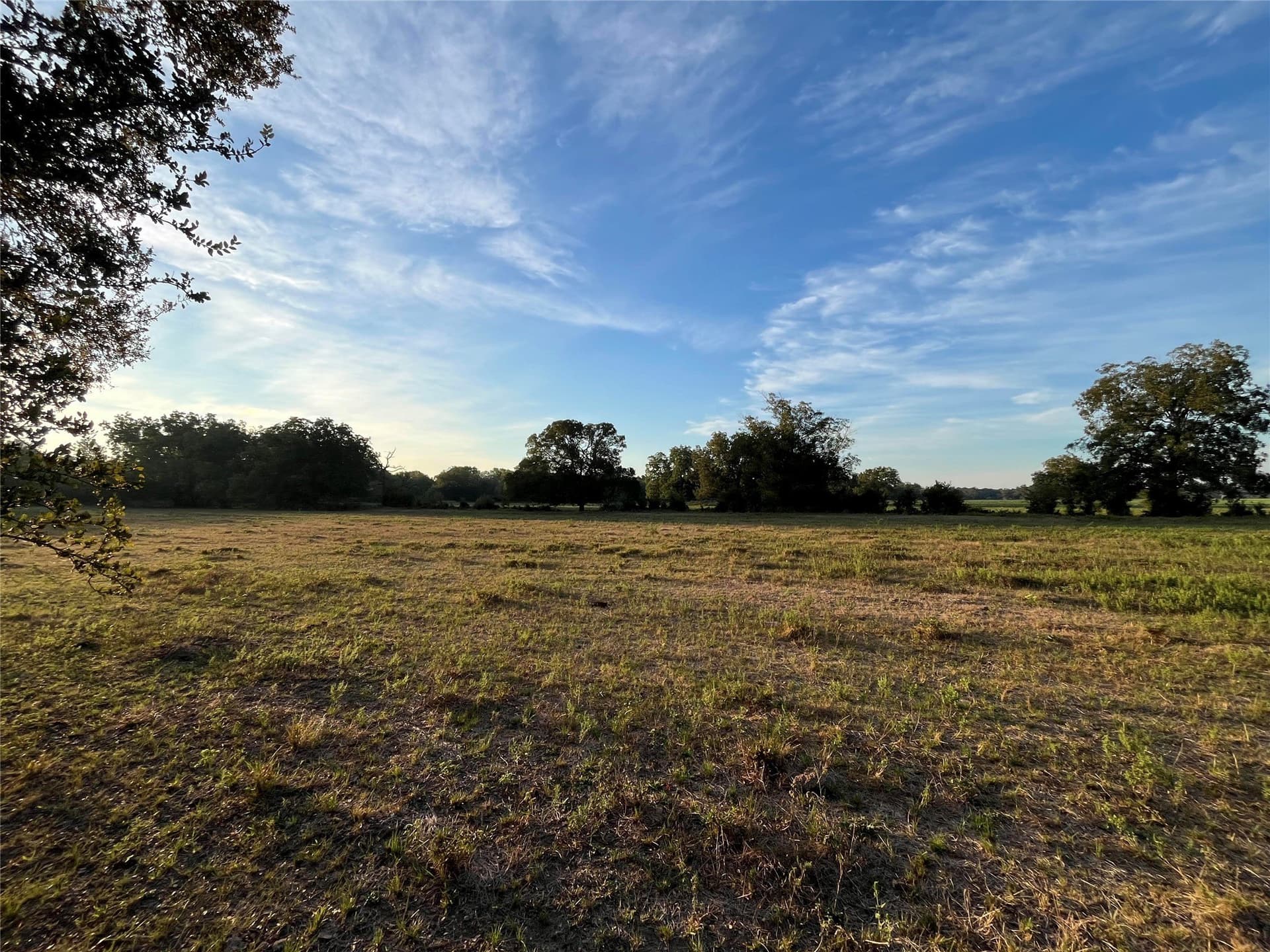 1,003.31 acres in Limestone County - photo 22