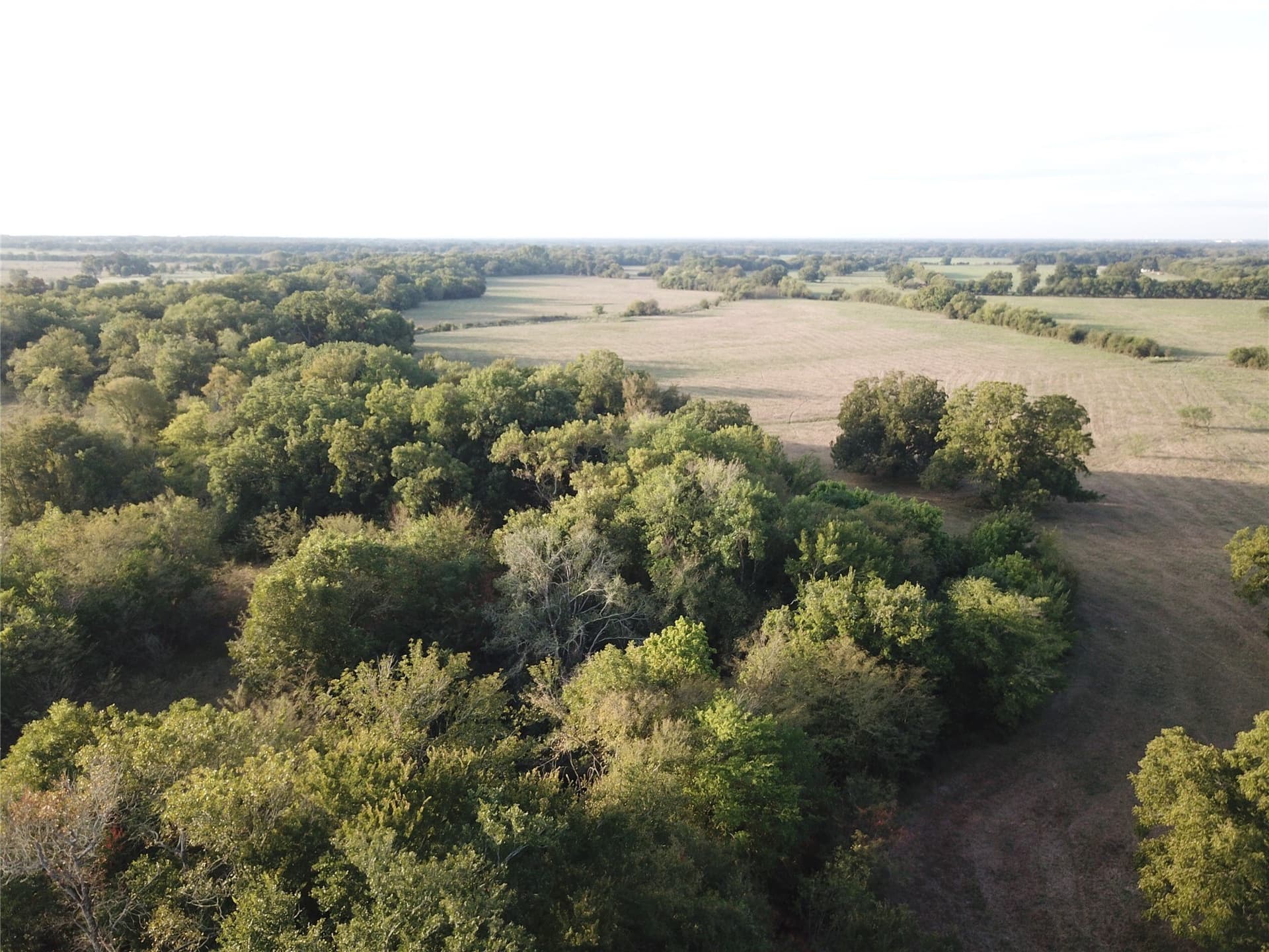 1,003.31 acres in Limestone County - photo 26
