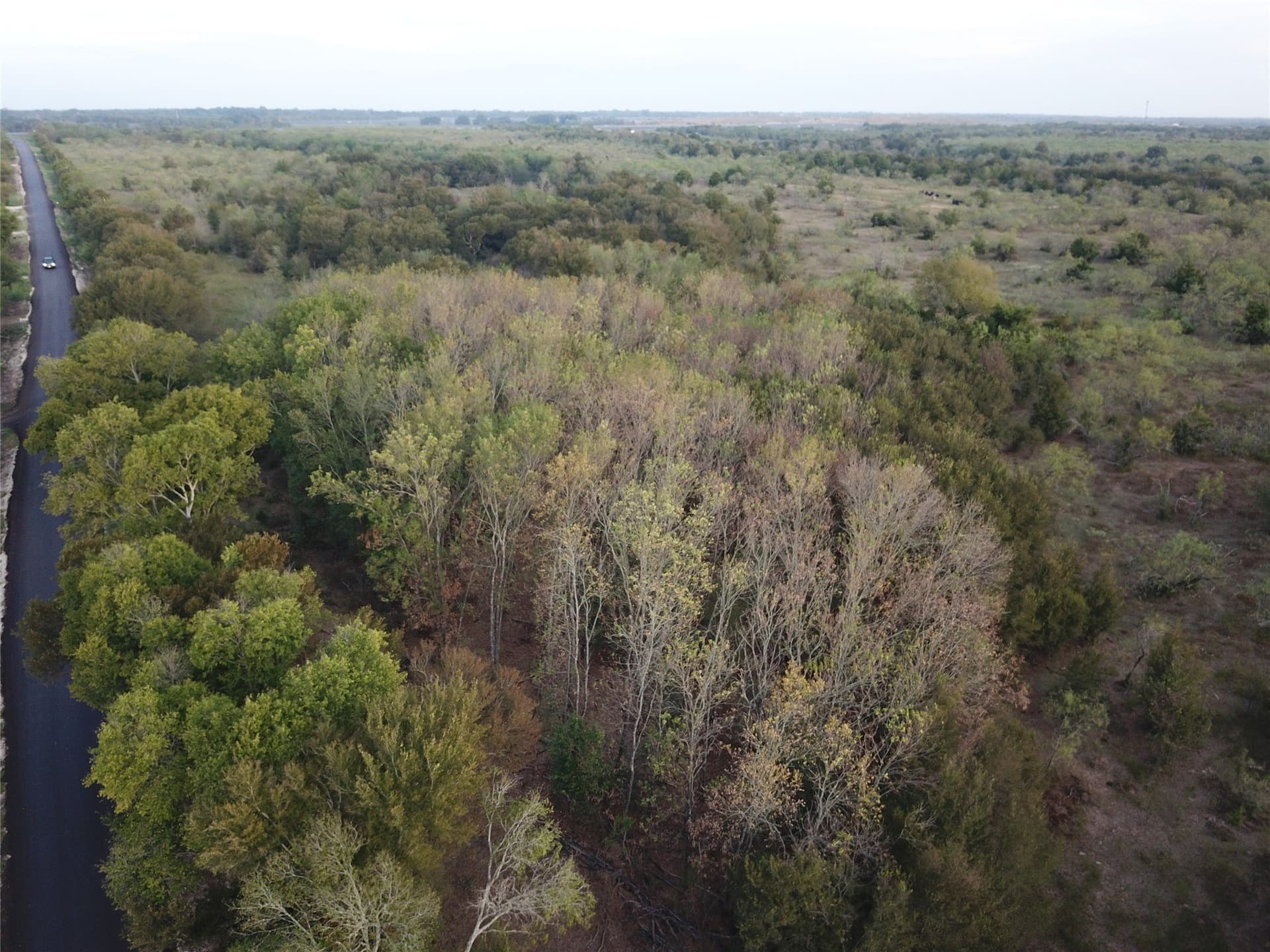 1,003.31 acres in Limestone County - photo 32