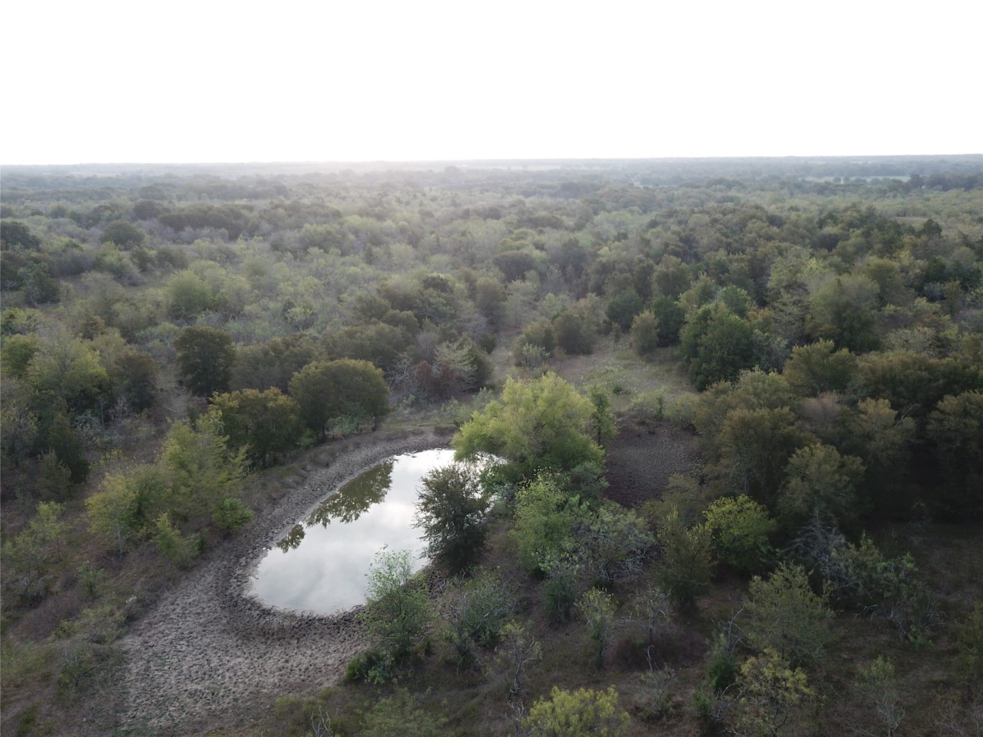 1,003.31 acres in Limestone County - photo 29