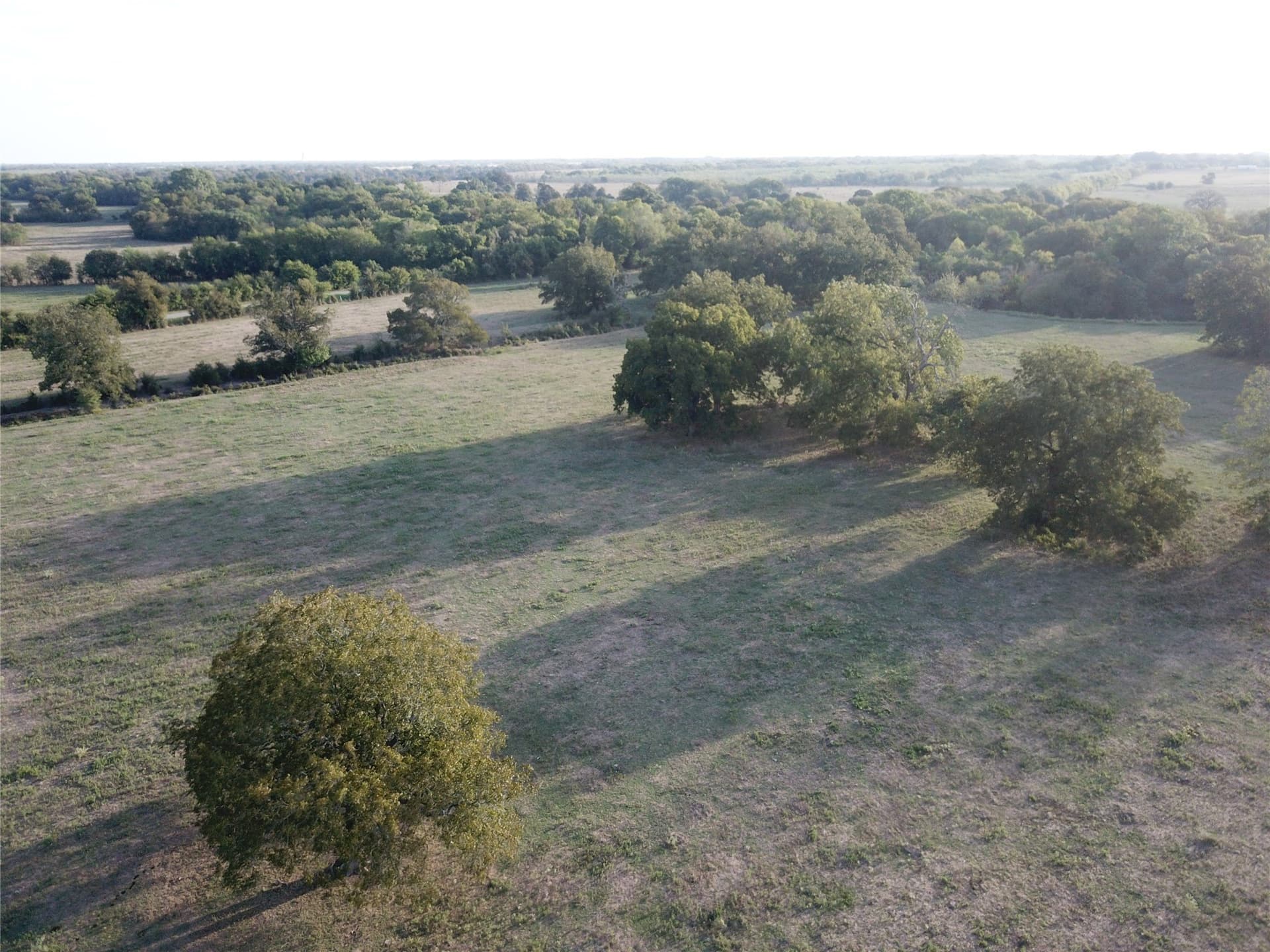 1,003.31 acres in Limestone County - photo 28