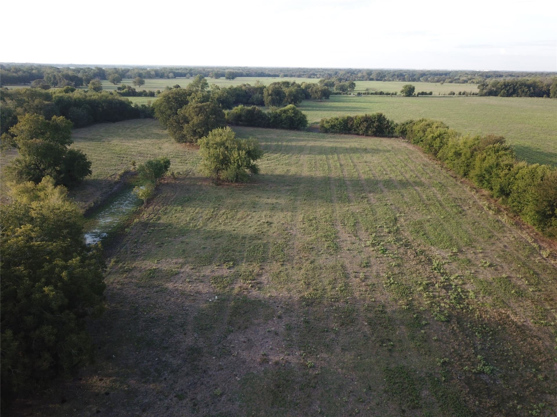 1,003.31 acres in Limestone County - photo 17