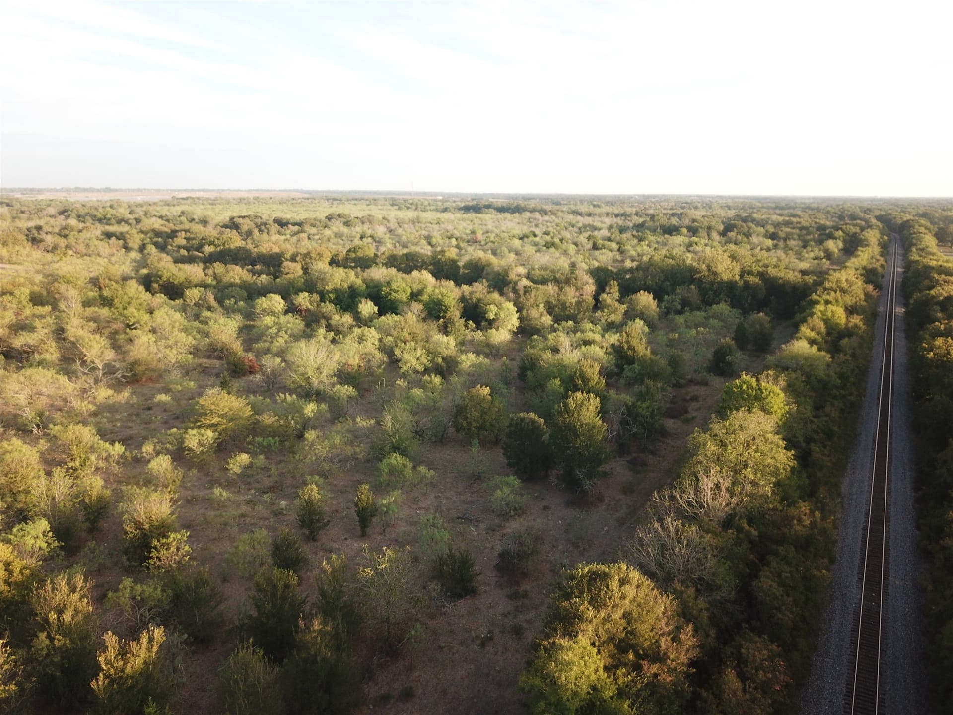 1,003.31 acres in Limestone County - photo 14