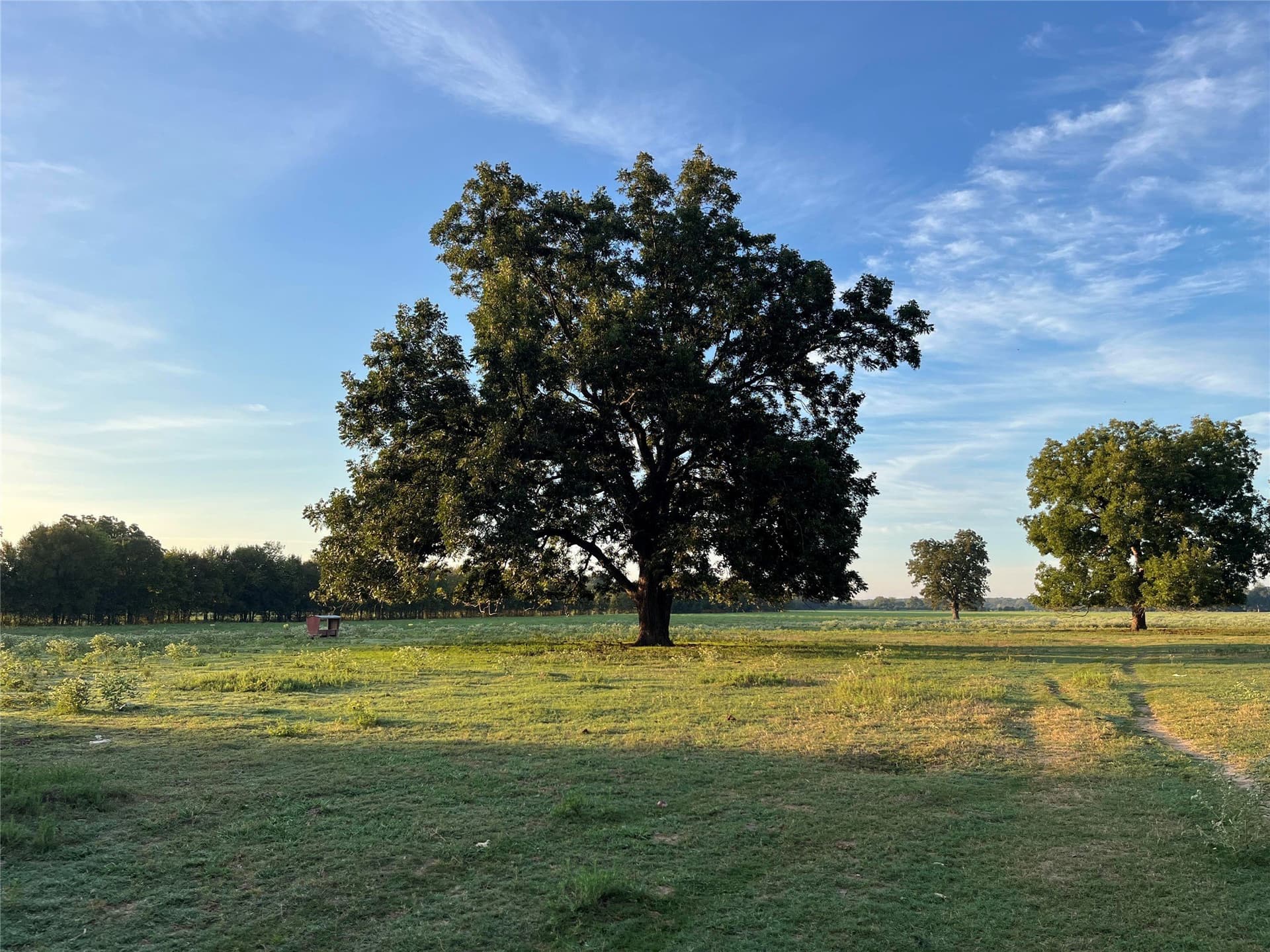 1,003.31 acres in Limestone County - photo 4