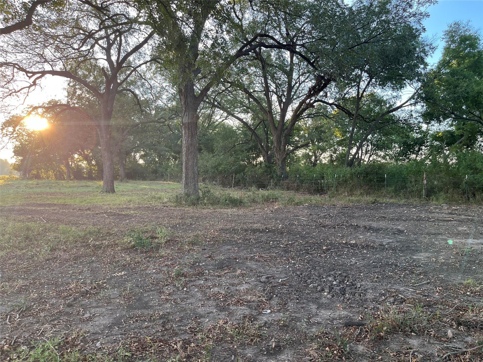 1,003.31 acres in Limestone County - photo 15