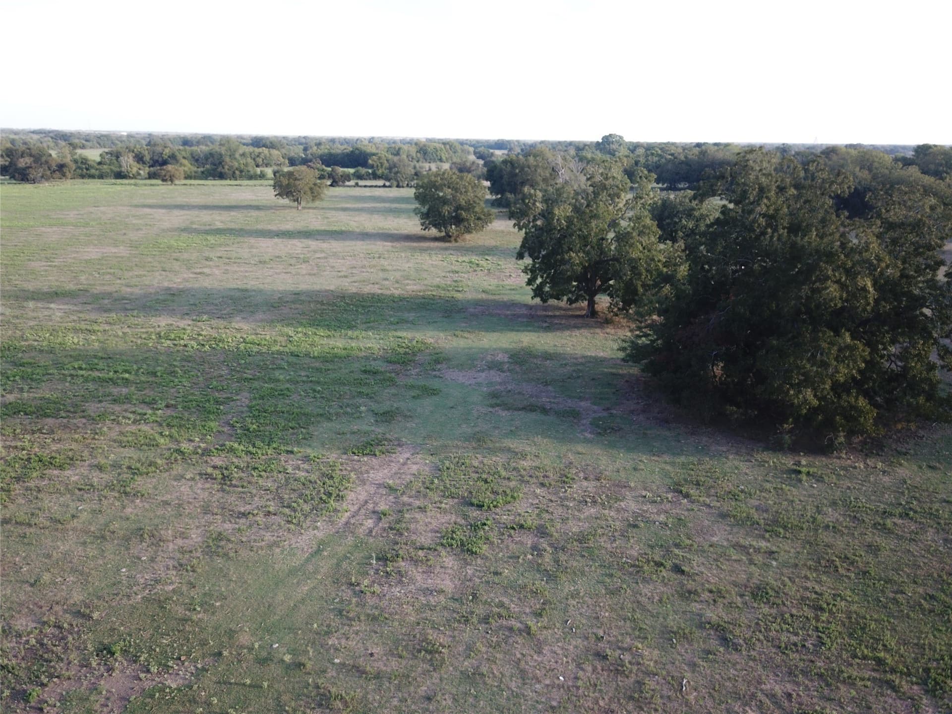 1,003.31 acres in Limestone County - photo 27
