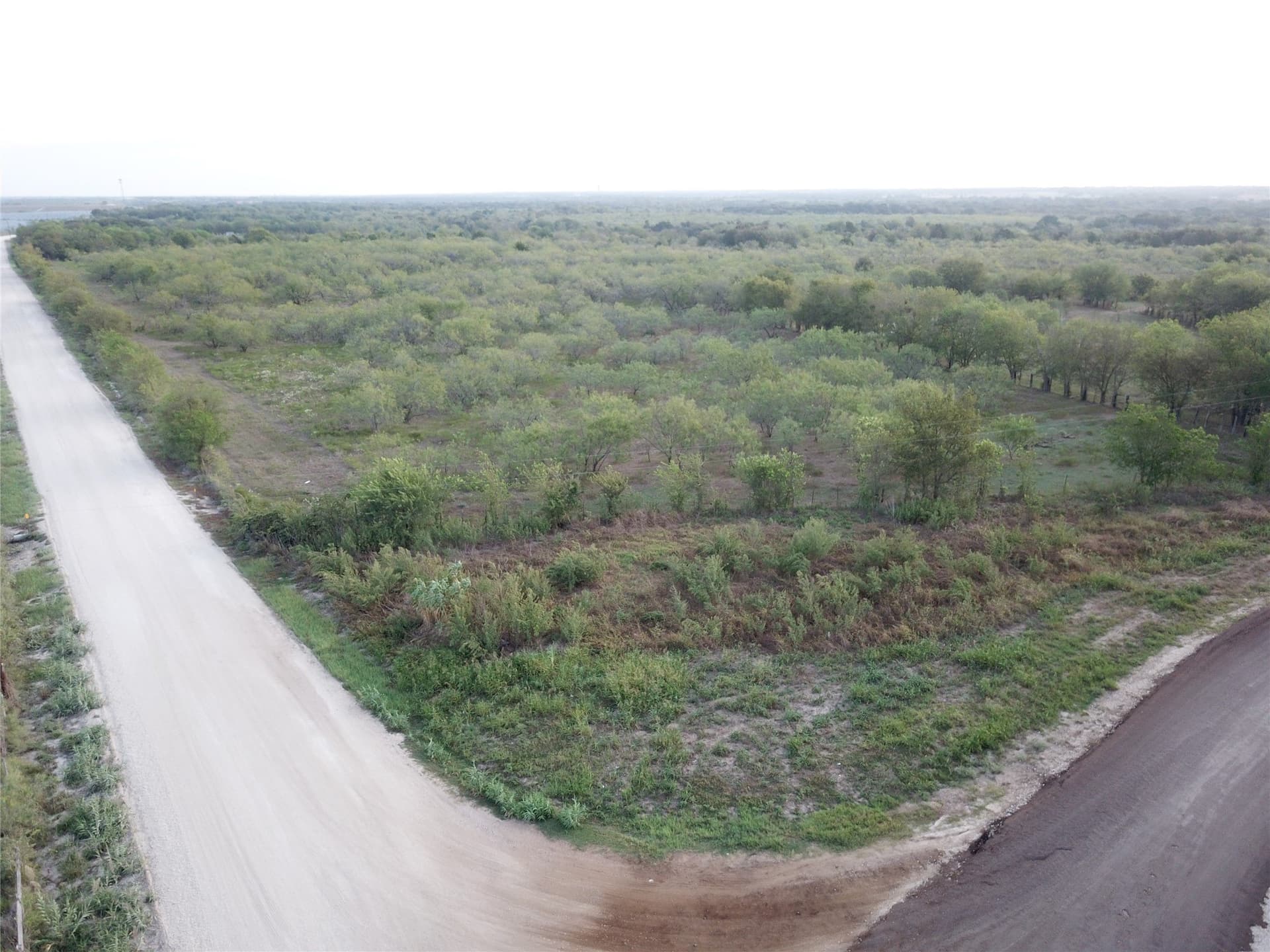 1,003.31 acres in Limestone County - photo 24