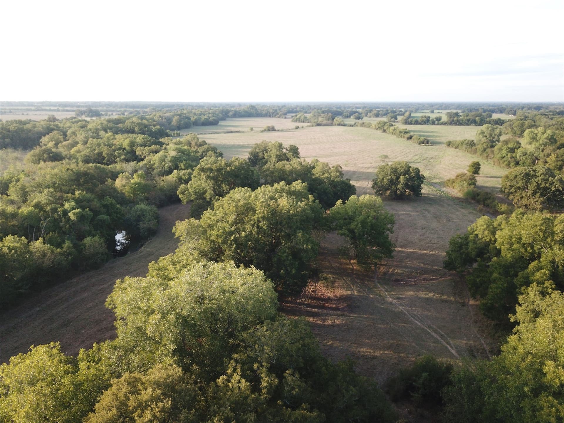 1,003.31 acres in Limestone County - photo 7