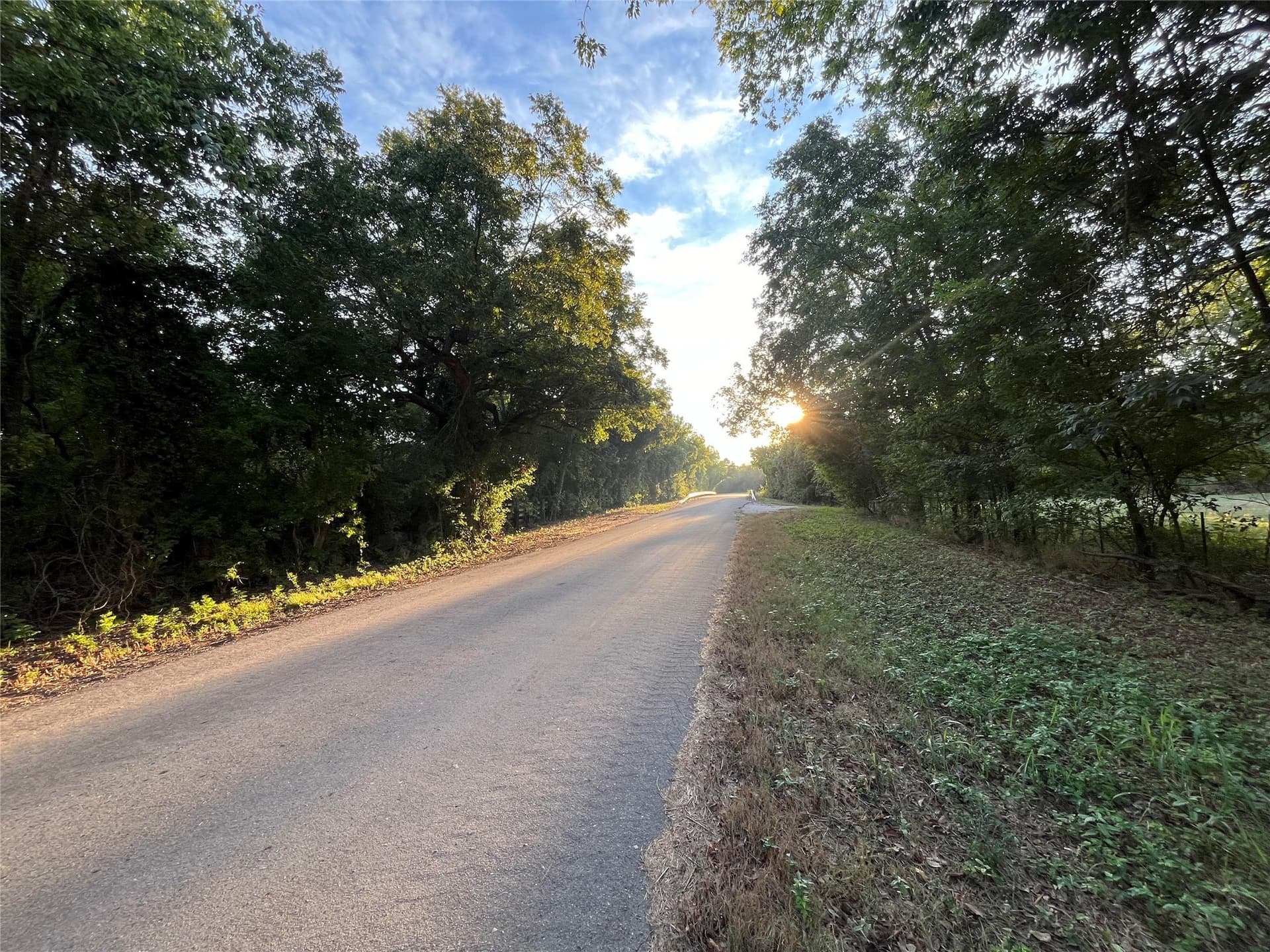 1,003.31 acres in Limestone County - photo 9