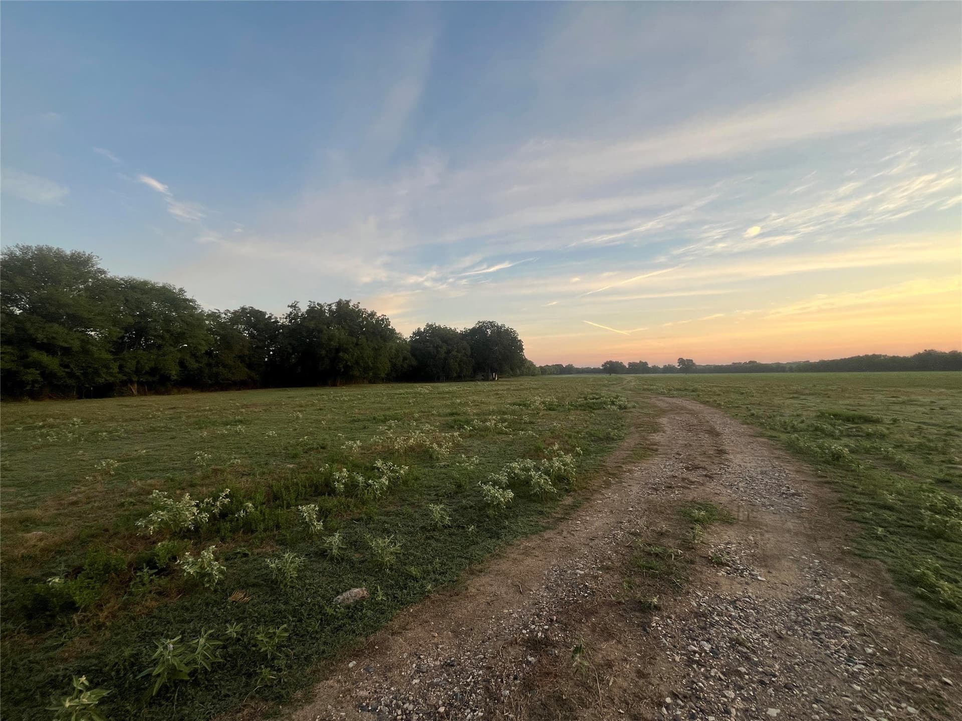1,003.31 acres in Limestone County - photo 12