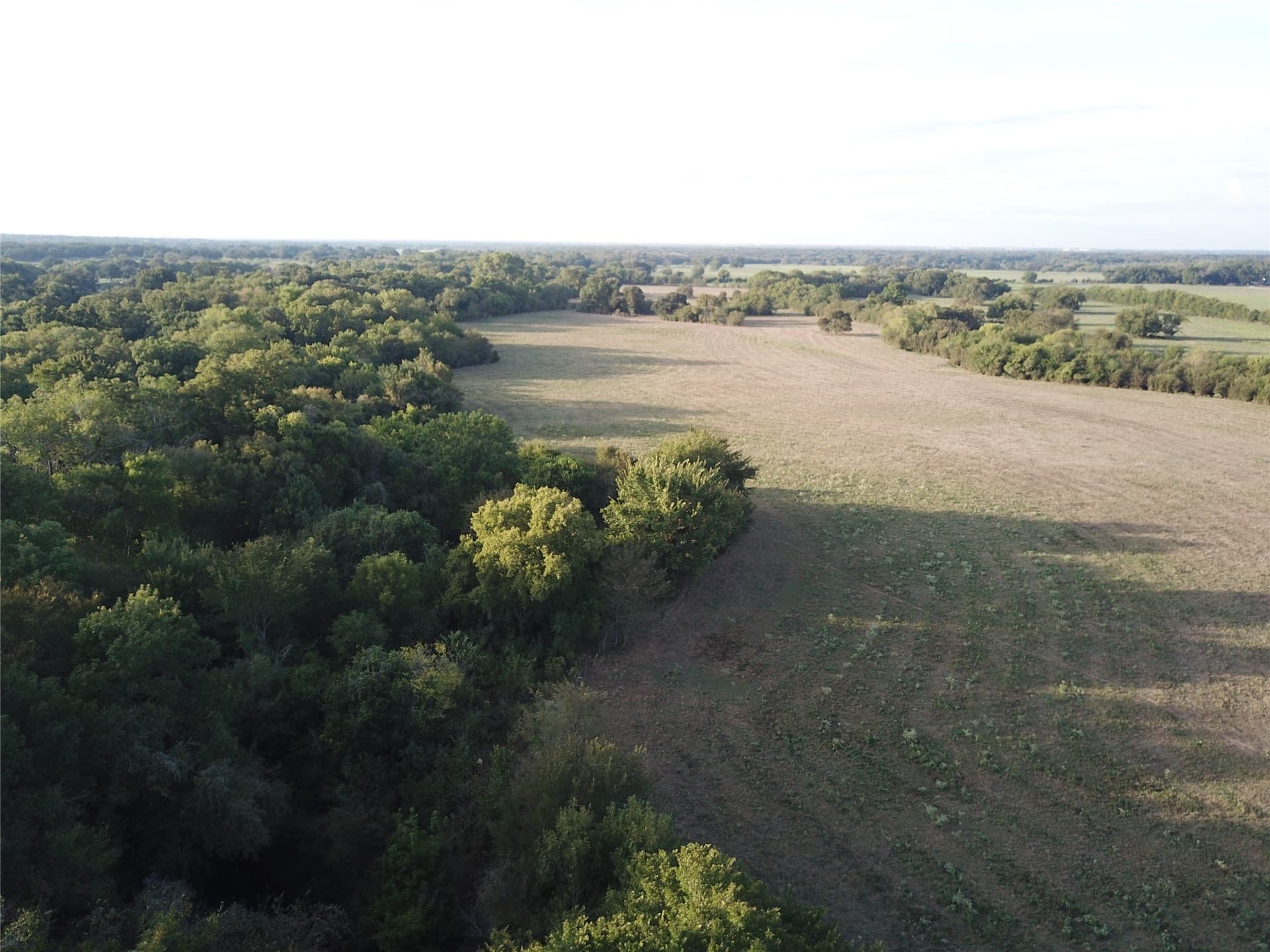 1,003.31 acres in Limestone County - photo 13
