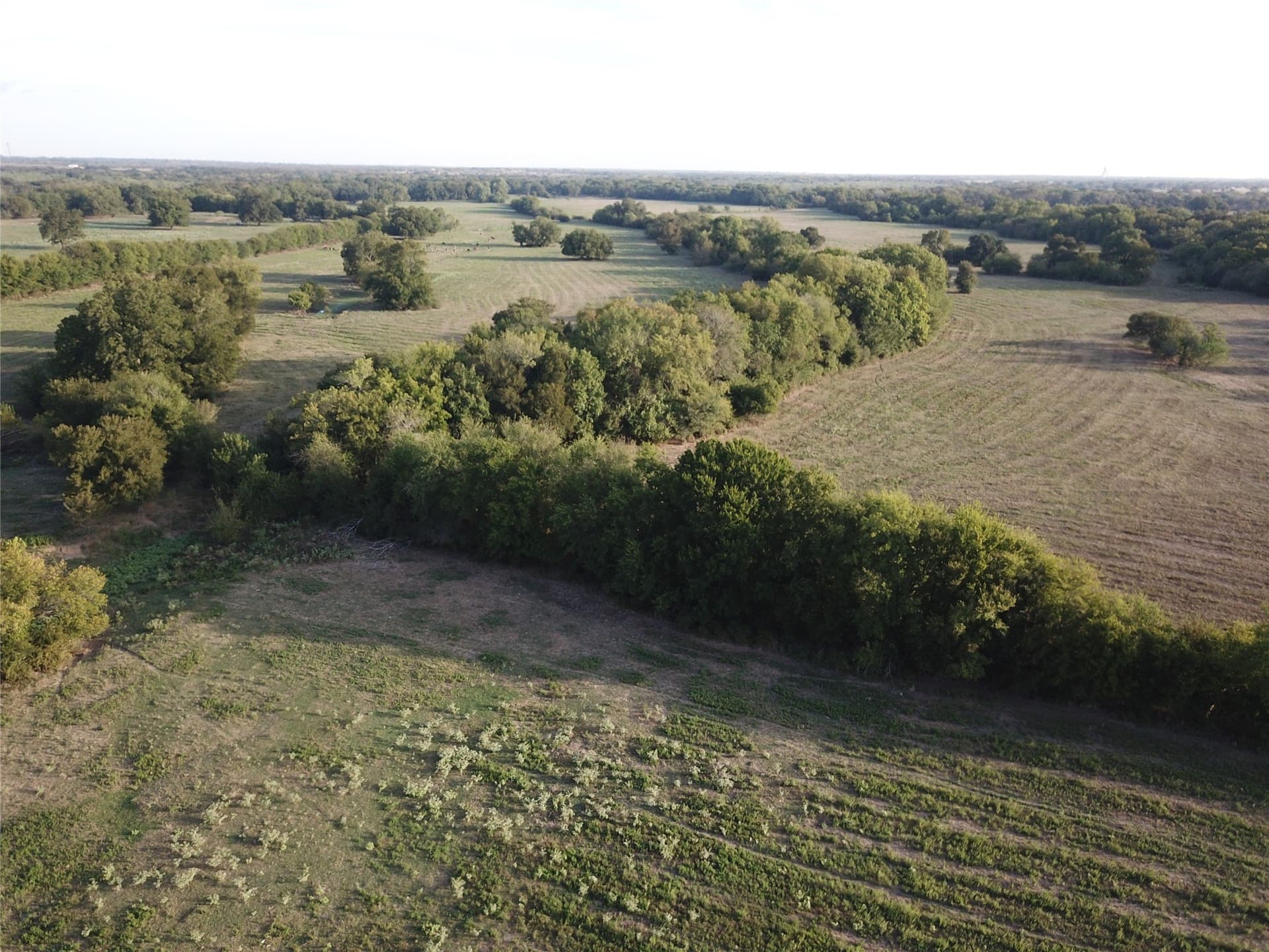 1,003.31 acres in Limestone County - photo 11